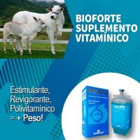 Imagem de BIOFORTE - Suplemento Vitamínico Mineral - 500 ML